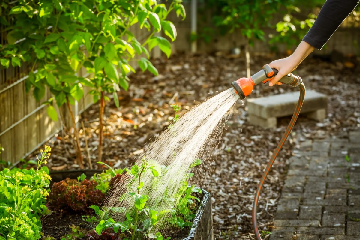 Gartenpflege im Sommer - Bewässerung